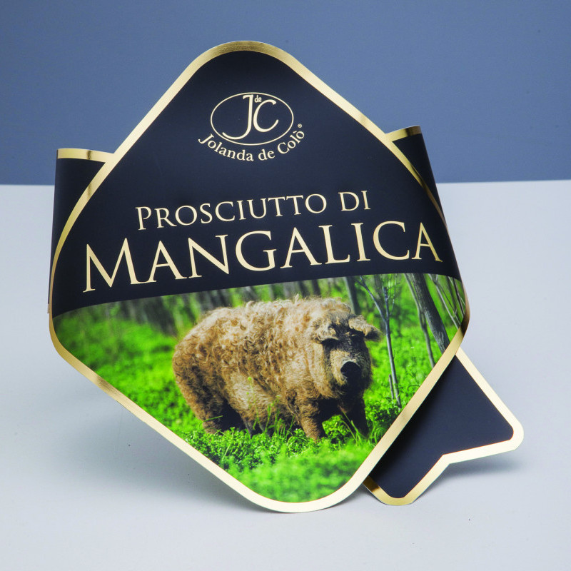 Collari in plastica